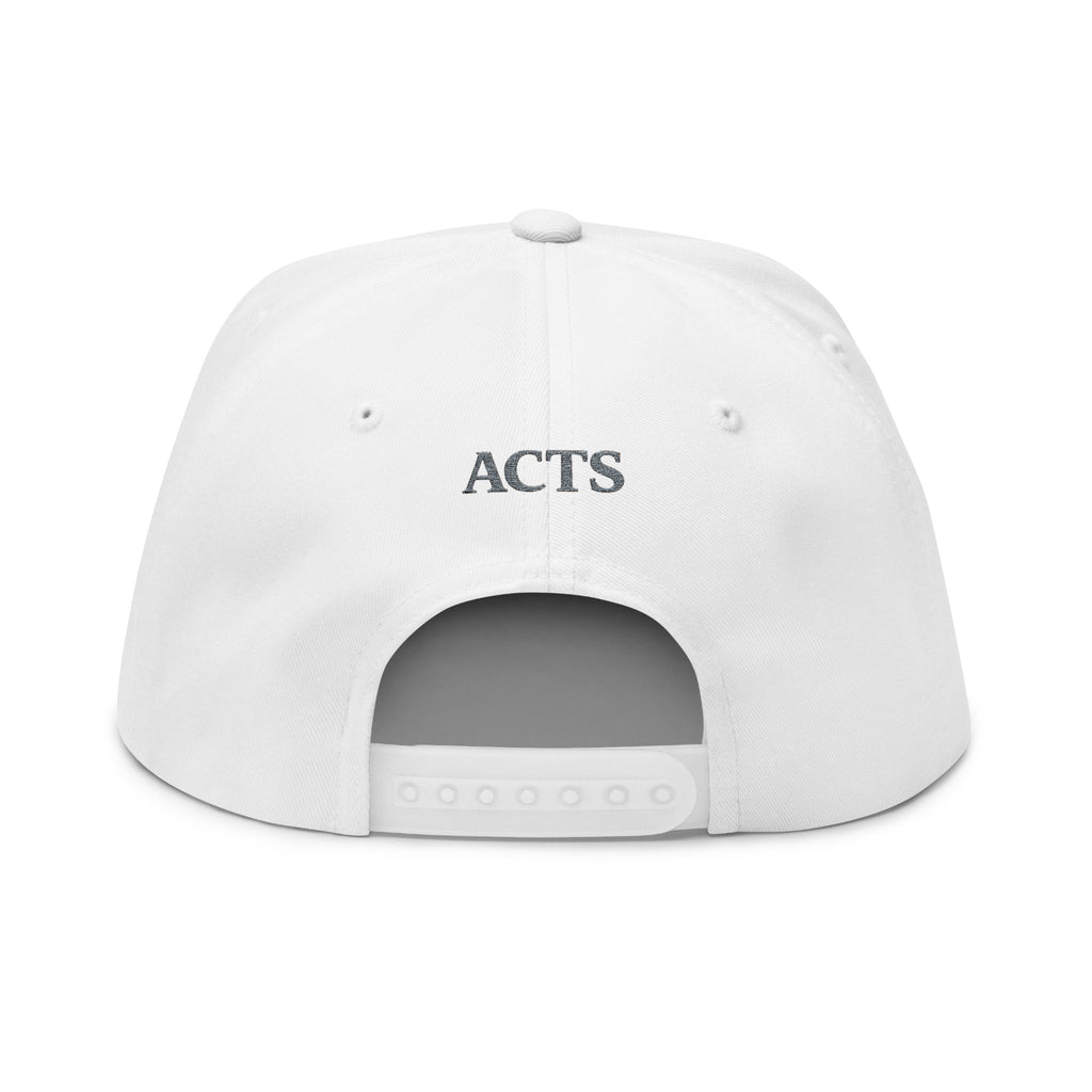 Embroidered Flat Bill Cap — "Jesus Expects Persistence, Not Perfection" Patch